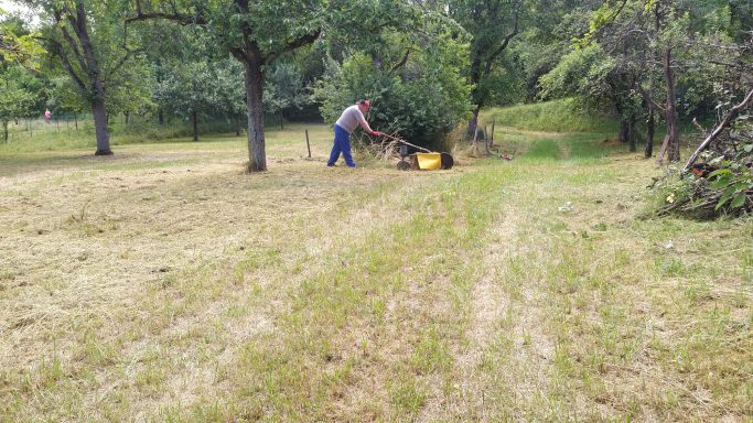 Grünflächenpflege /Streuobstwiesen